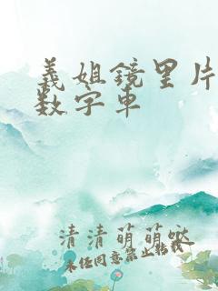 义姐镜里片微博数字车