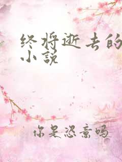 终将逝去的青春小说