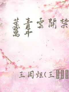 叶青云关禁闭一万年