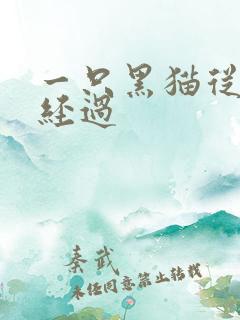 一只黑猫从眼前经过