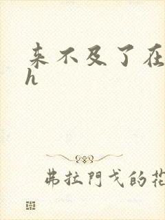 来不及了在车ch