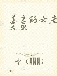 善良的女老师木天鱼