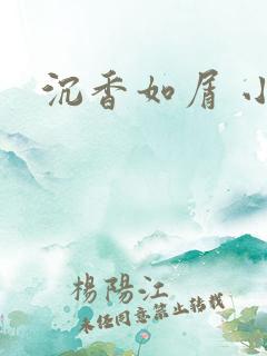 沉香如屑 小说