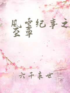 风云纪事之唯武至尊