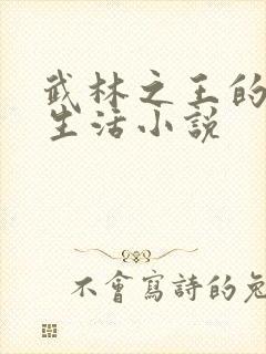 武林之王的退隐生活小说