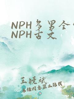 NPH多男全处NPH古文