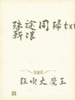 殊途同归txt新浪