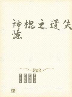 神棍之遗失的记忆