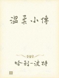 温柔小传