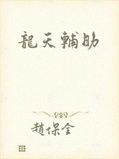 龙天辅助