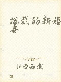 总裁的新婚下堂妻