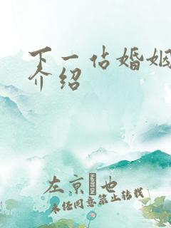 下一站婚姻剧情介绍