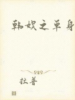 韩娱之单身爸爸