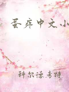 蛋疼中文小说网