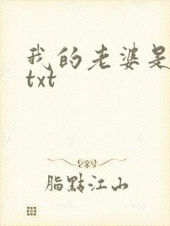 我的老婆是上司txt