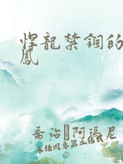 悍龙禁锢的小野凤