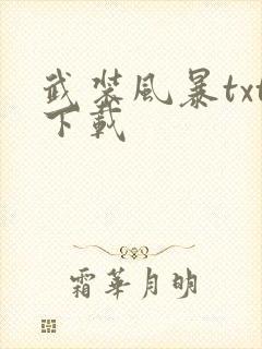 武装风暴txt下载