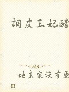 调皮王妃醋王爷