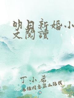 明日新婚小说全文阅读