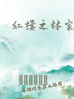 红楼之林家有妻