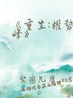 《重生:权势巅峰》