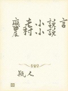 恋老小说言情网农村小说