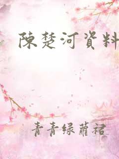 陈楚河资料