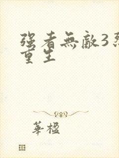 强者无敌3烈火重生