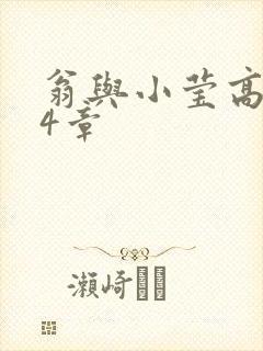 翁与小莹高潮24章