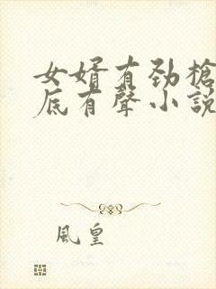 女婿有劲枪枪到底有声小说