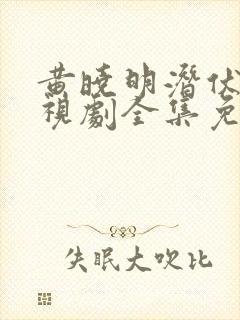 黄晓明潜伏者电视剧全集免费观看