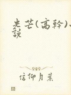 光芒(高干)小说