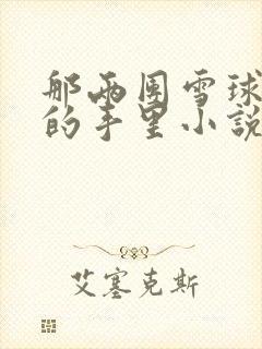 那两团雪球在他的手里小说