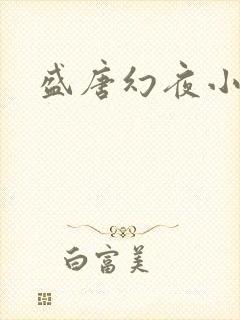 盛唐幻夜小说