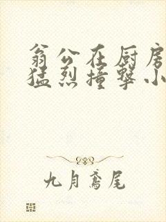 翁公在厨房和我猛烈撞击小说