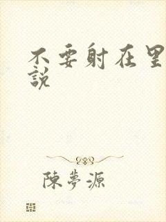 不要射在里面小说