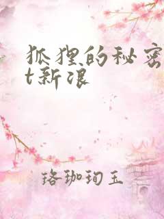 狐狸的秘密txt新浪