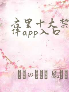 夜里十大禁用软件app入口