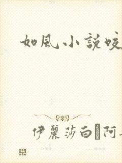 如风小说咬春饼