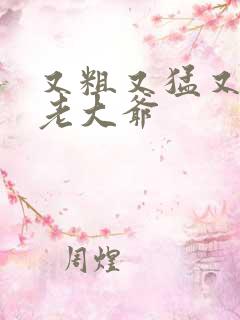 又粗又猛又大爽老大爷