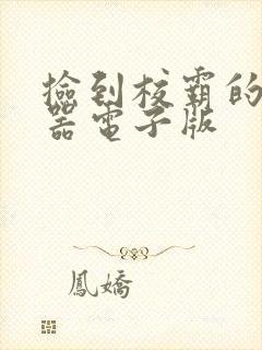 捡到校霸的遥控器电子版