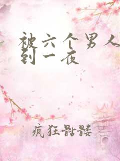 被六个男人躁J到一夜