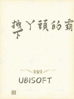 拽丫头的霸道殿下