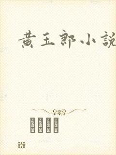 黄玉郎小说