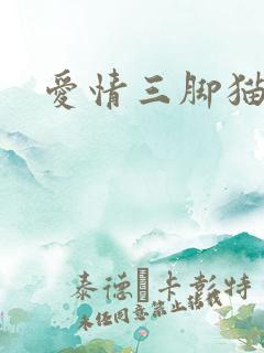 爱情三脚猫