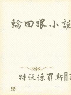 轮回眼小说
