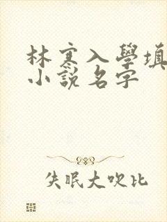 林寒入学填未婚小说名字