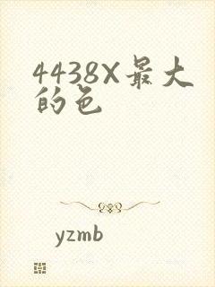 4438X最大的色