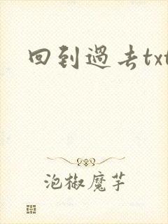 回到过去txt