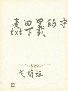 麦田里的守望者txt下载